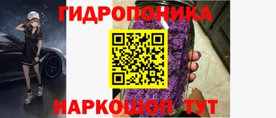 индика Нягань