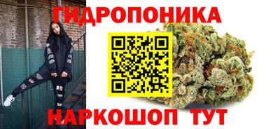 индика Нягань
