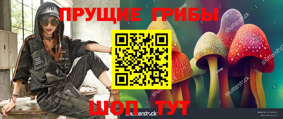Галлюциногенные грибы мицелий Родники